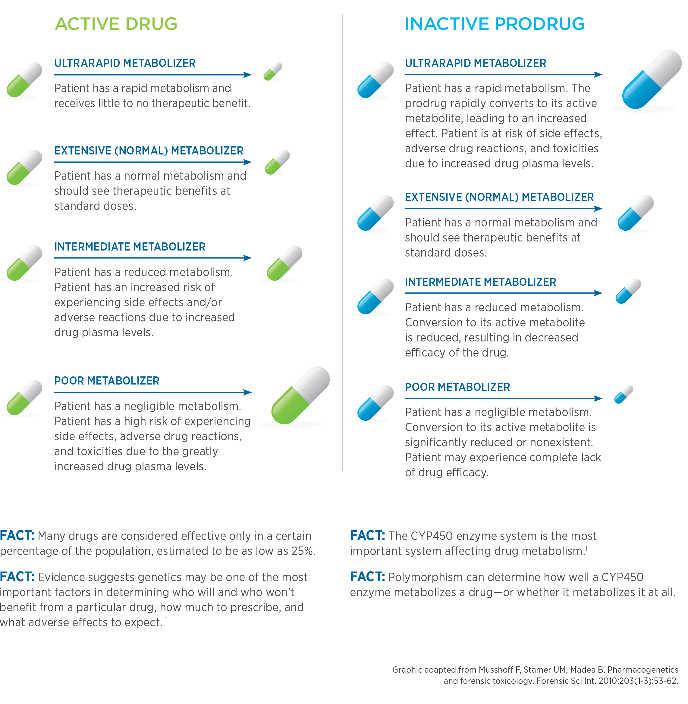 ENZYME FUNCTION AND DRUG SELECTION | Health Study Services